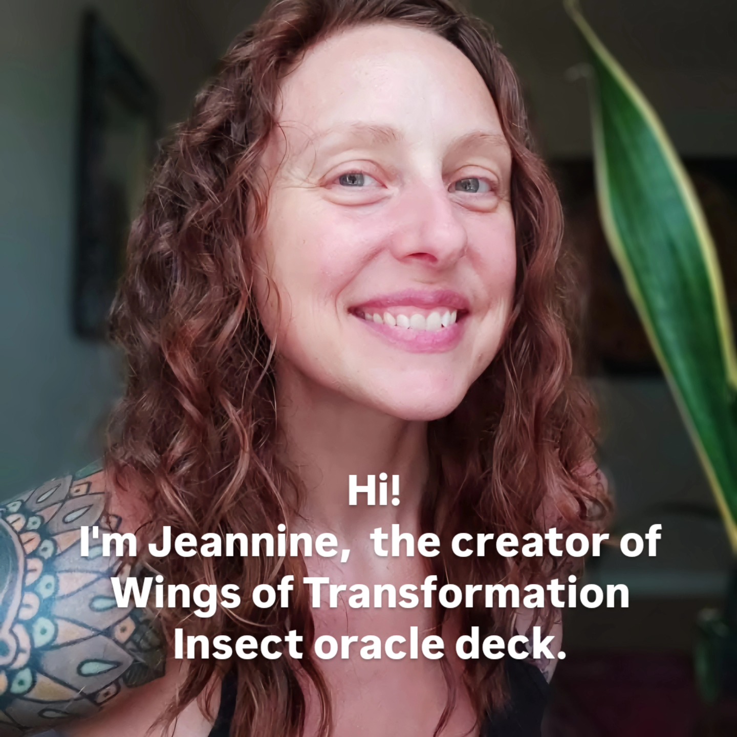 Wings Of Transformation Oracle Deck Nears Launch