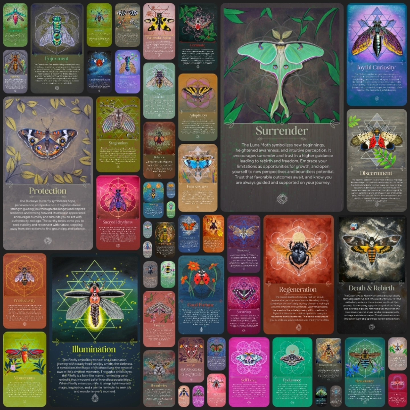 Wings Of Transformation Oracle Deck Nears Launch