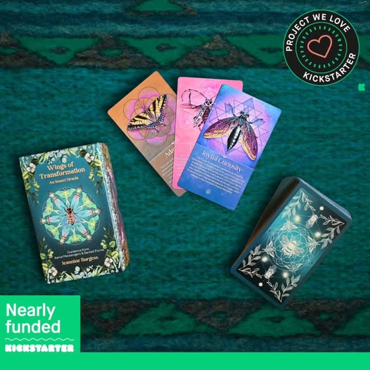 Wings Of Transformation Oracle Deck Nears Launch