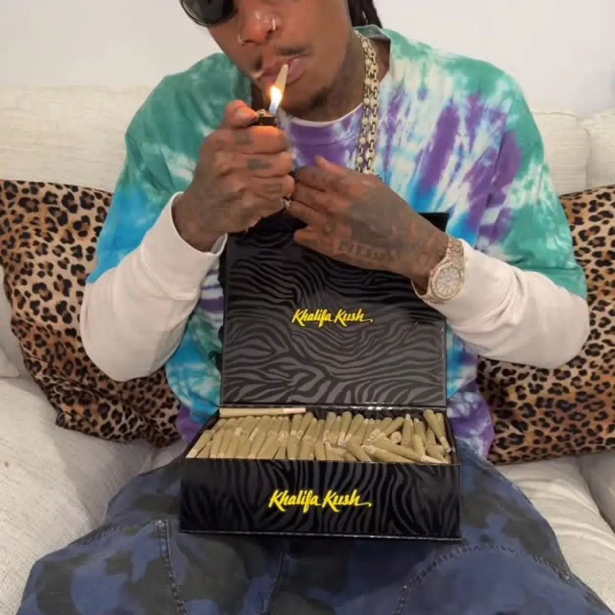 Wiz Khalifa Announces New Tour Wiz Khalifa embarks on a new tour, igniting Taylor Gang energy all over the globe. Now!!!!