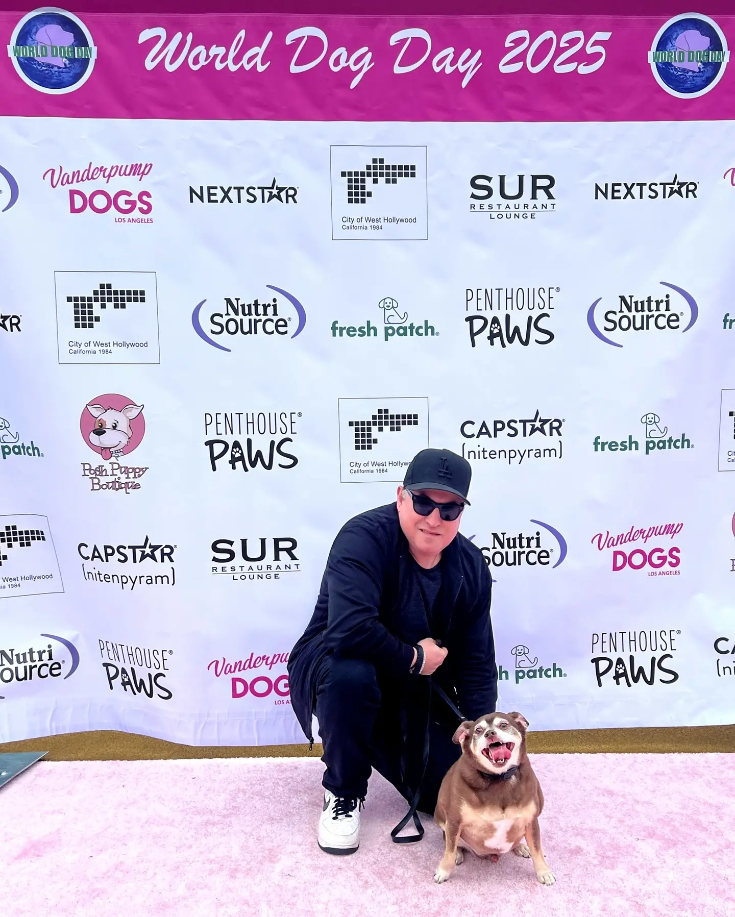 Honoring our loyal companions in style, with gratitude to Vanderpump Dogs and Brett Gursky.