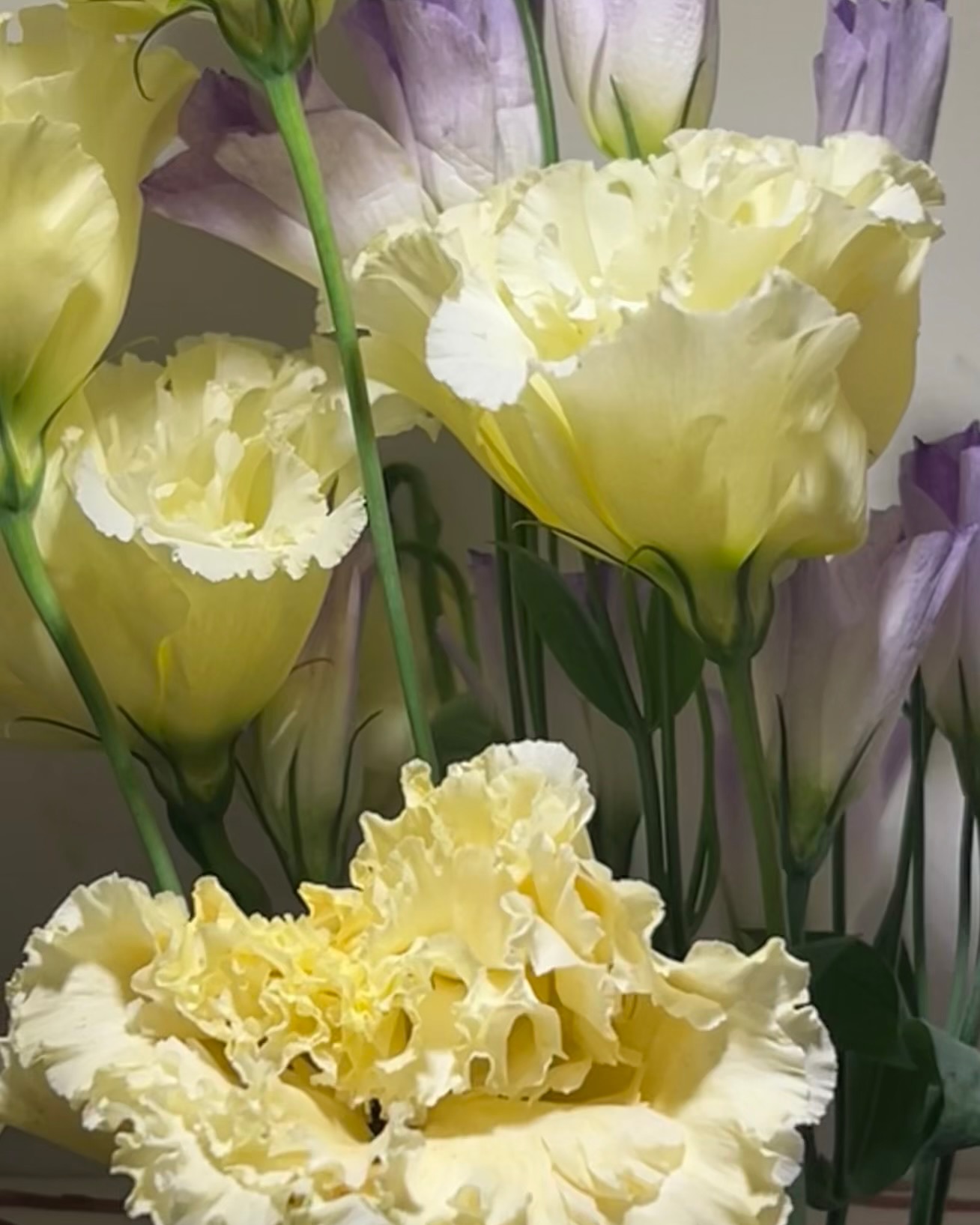 Wu Nien-Hsuan Celebrates 520 With Floral Tribute