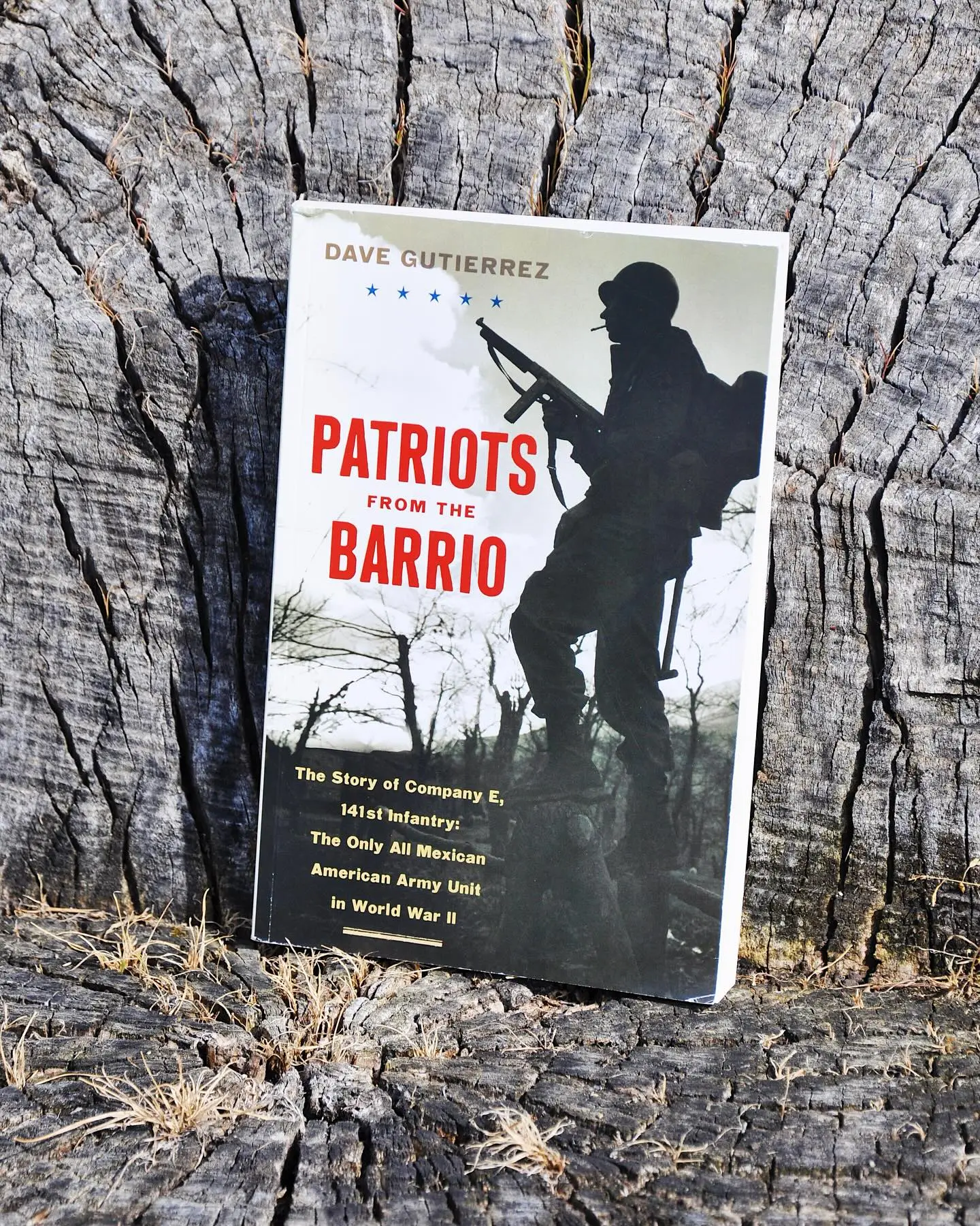WVE Expands Multimedia Adaptation For Revolutionary Novel Wilmer Valderrama & WVE Expand Rights for 'Patriots From The Barrio' Multimedia Now Live!
