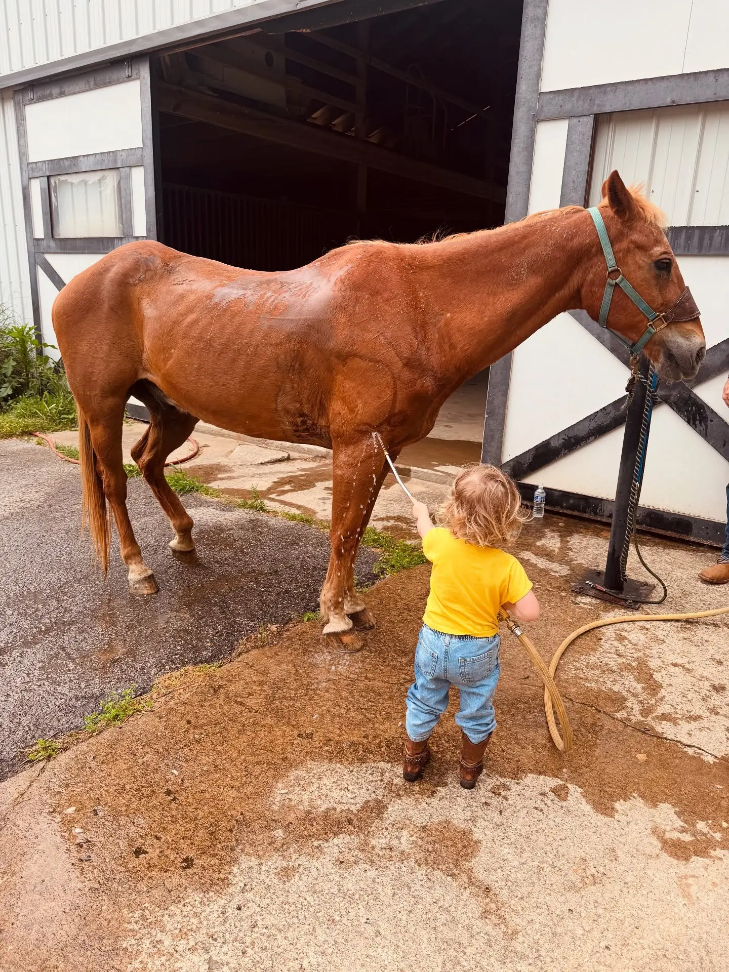 Wynonna Judd Shares Cowgirl Chores Schedule Morning chores: washing big pony, feeding a mini one, scrubbing dog paws and sharing faith