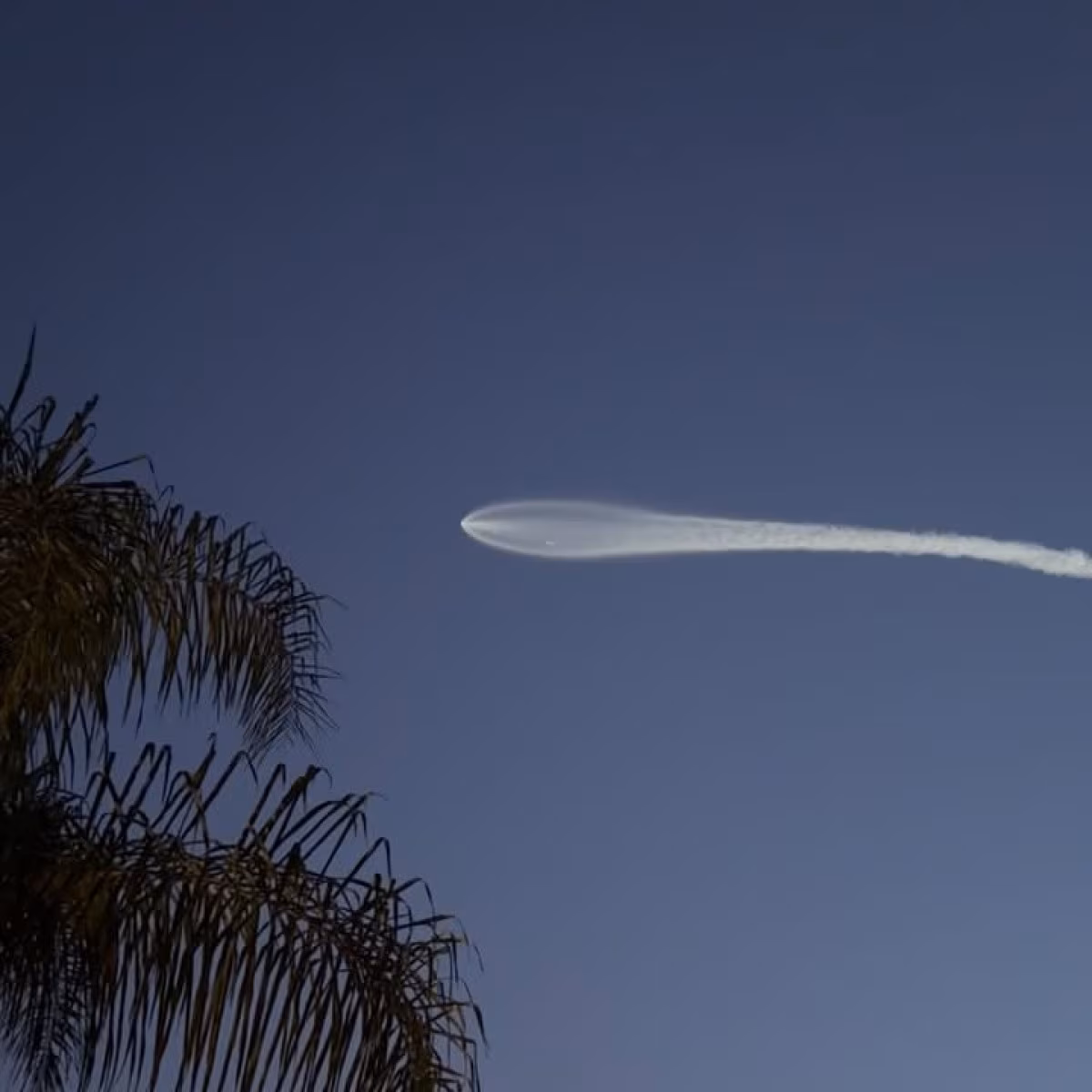 Camille Meyer Captures SpaceX Starlink Launch From Home Reality star shares rocket-view photos as SpaceX lifts 26 Starlink satellites into orbit.!