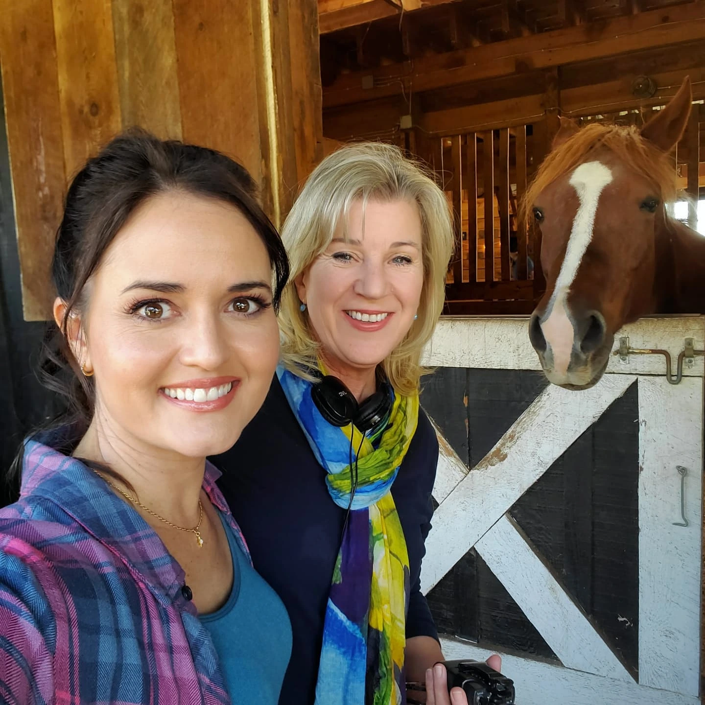 Danica McKellar’s ‘Grounded in Love’ Sets Fall Premiere Dates