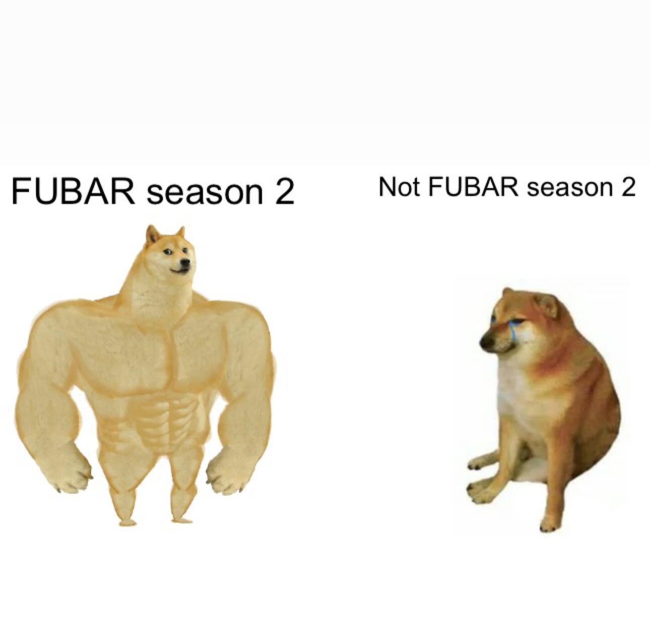 FUBAR Season 2 Meme Push From Schwarzenegger