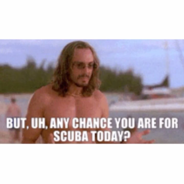 Hank Azaria Kicks Off Summer With Scuba Post