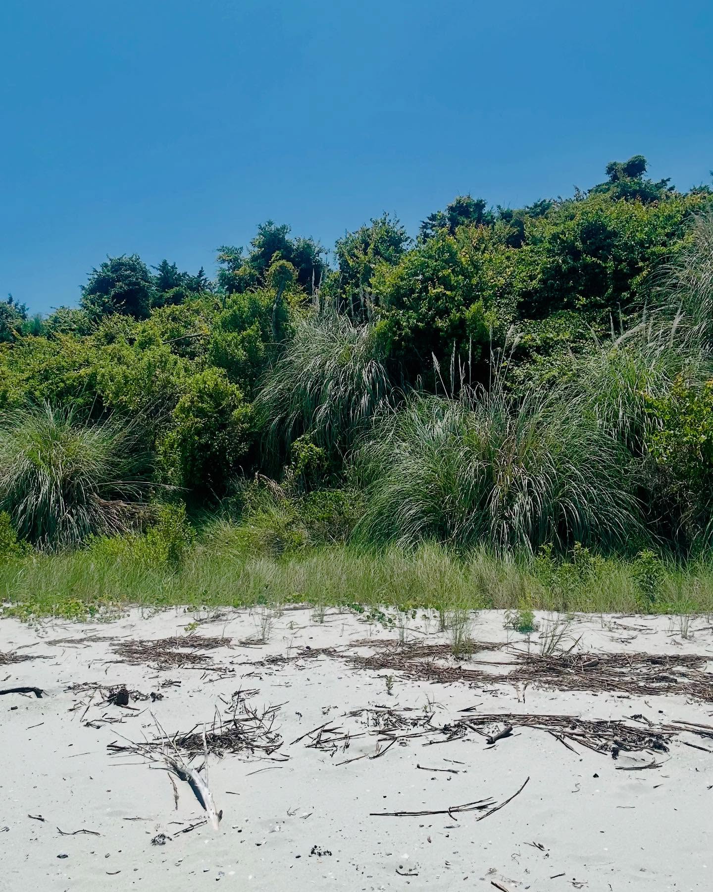 Jaime Pressly Reconnects with North Carolina Coast