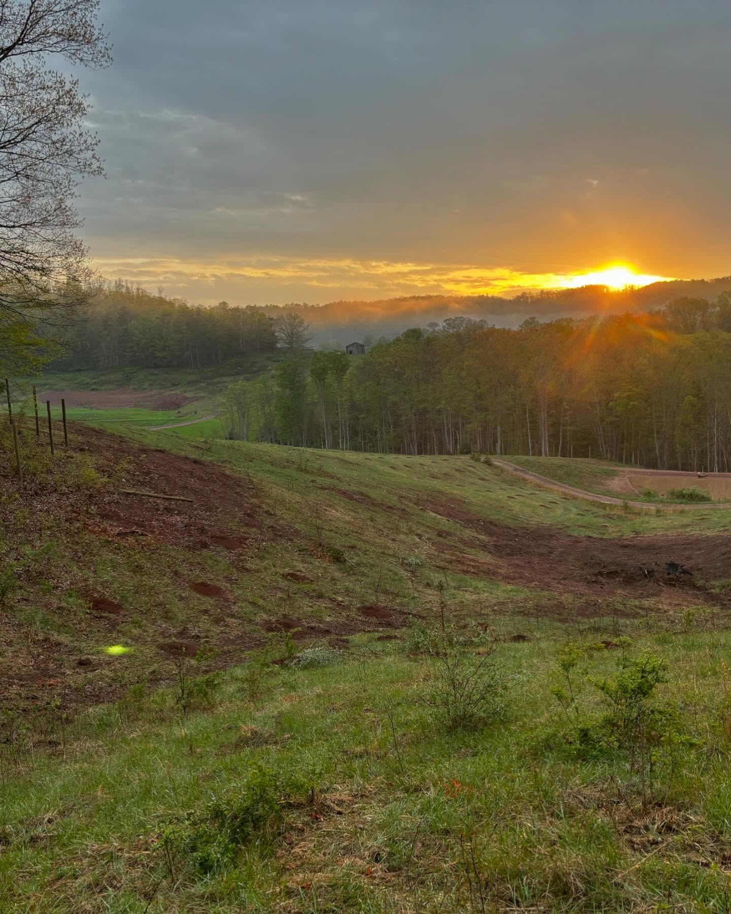 Jason Dohring Plants Roots With New West Virginia Farm