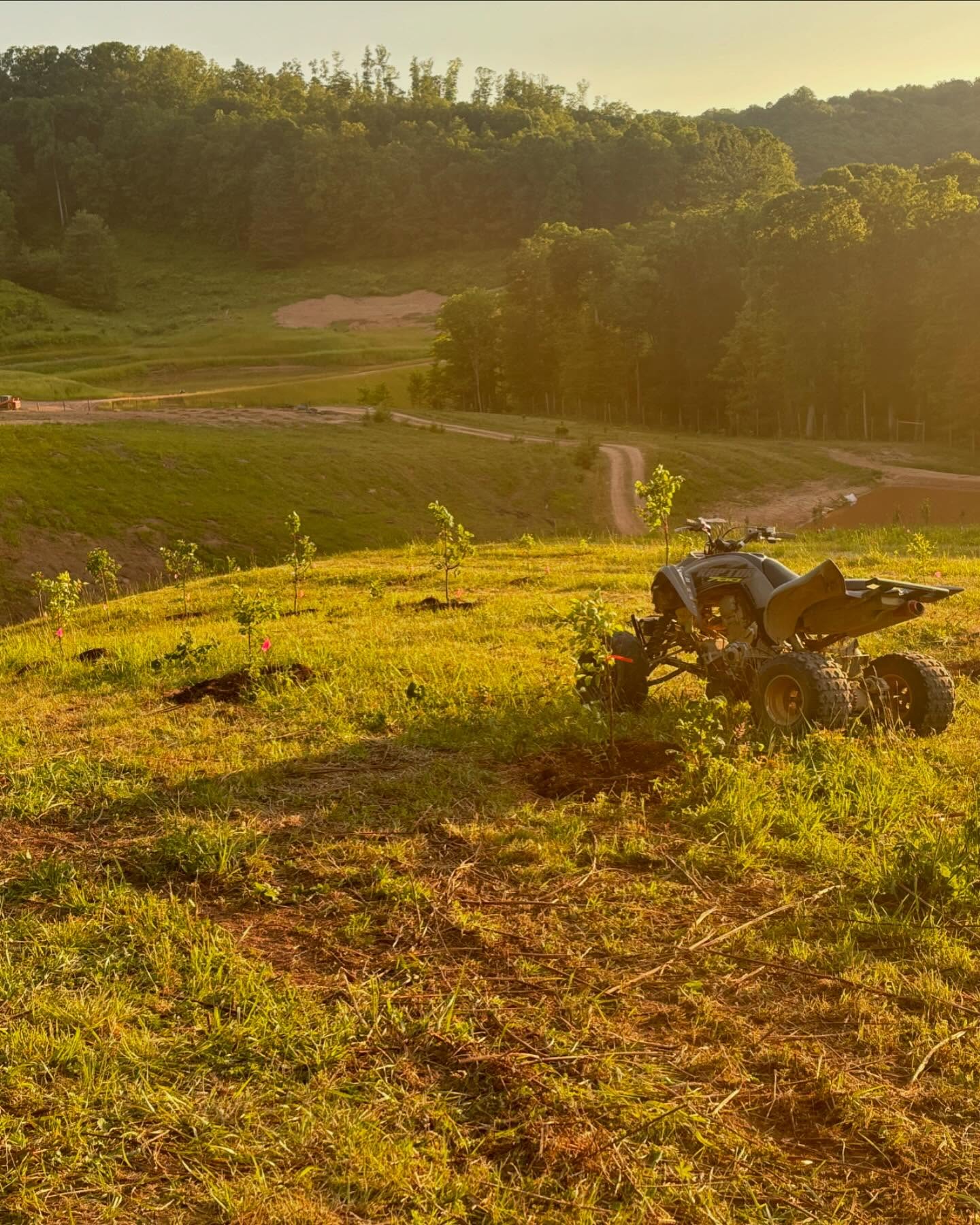 Jason Dohring Plants Roots With New West Virginia Farm