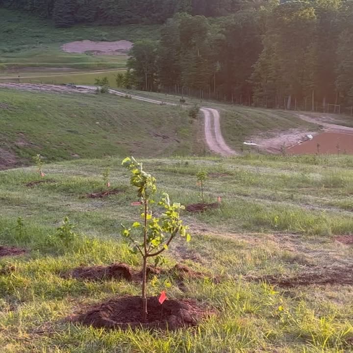 Jason Dohring Plants Roots With New West Virginia Farm