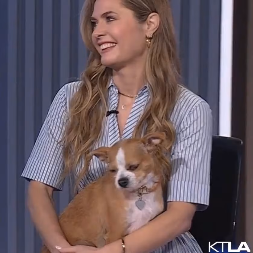 Maggie Lawson’s Dog Linus Debuts on KTLA Morning Show