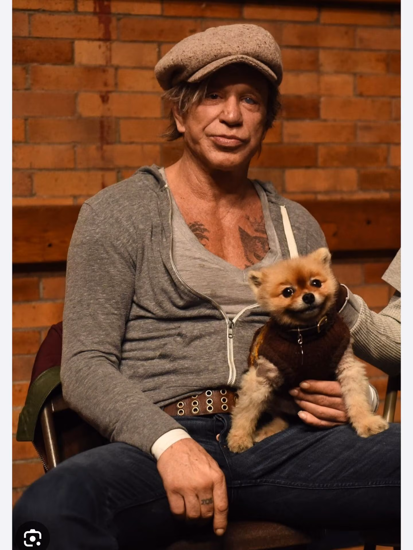 Mickey Rourke Celebrates Furry Friend Tango The Hollywood star shares heartwarming doggo moments in a series of Instagram joyous snaps