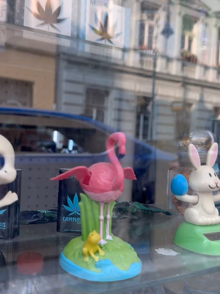 Minka Kelly Spotlights Quirky Animal Art in Prague