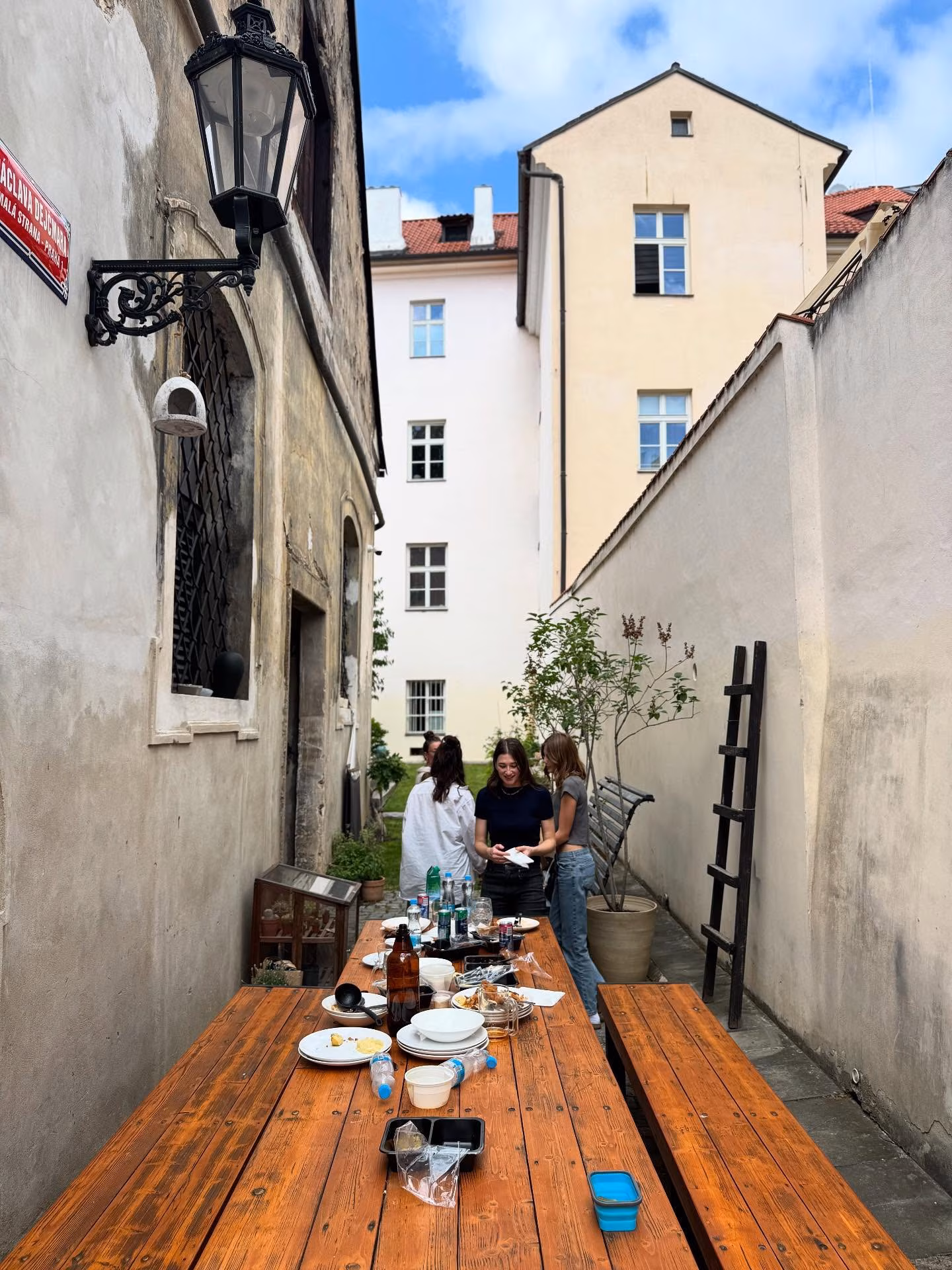 Minka Kelly Spotlights Quirky Animal Art in Prague