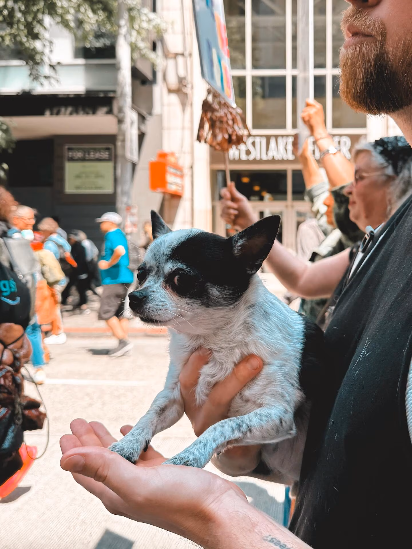 Nicole Gale Anderson Leads No Kings Day Doggie Protest