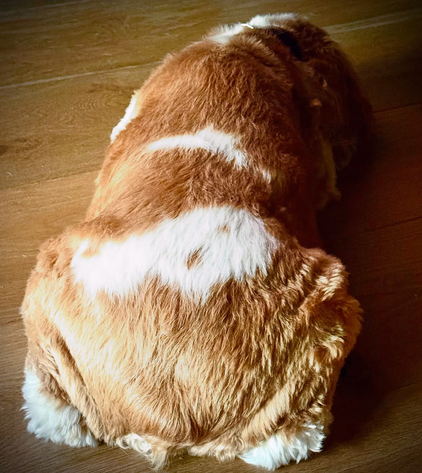 Yvette Nicole Brown Shares Adorable Puppy Snap Yvette Nicole Brown delights fans with an adorable snap of her pup’s spotted little bottom